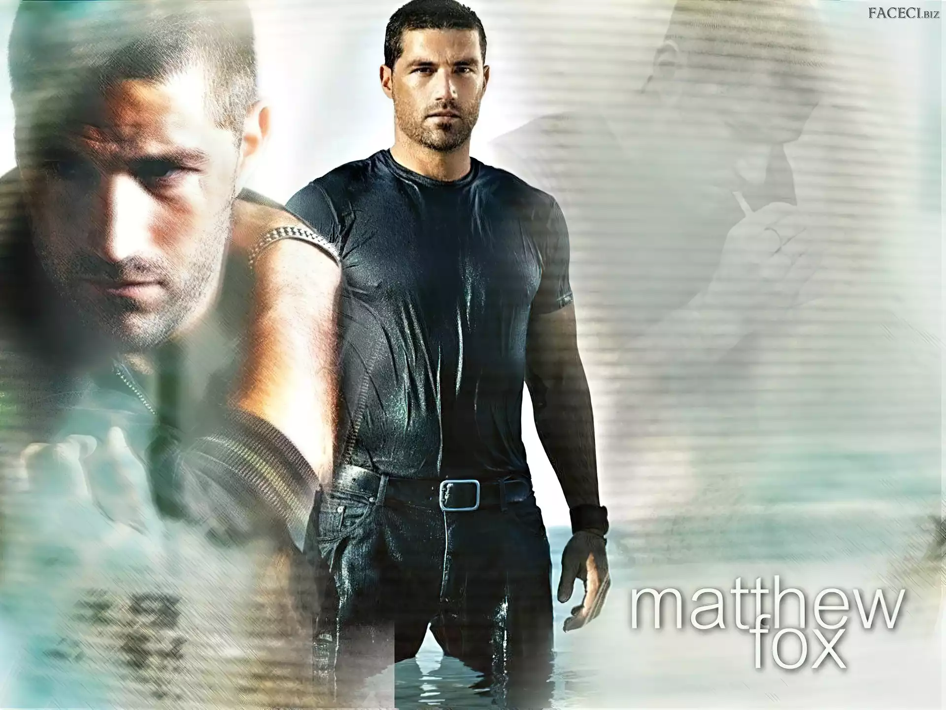 Serial, Lost, Matthew Fox, Zagubieni